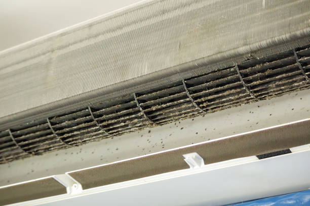 Best Best Air Duct Cleaning Company  in Monroe, MI