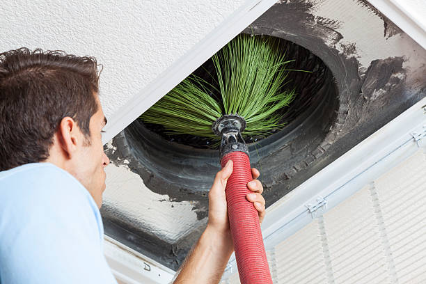 Best Professional Duct Cleaning Services  in Monroe, MI
